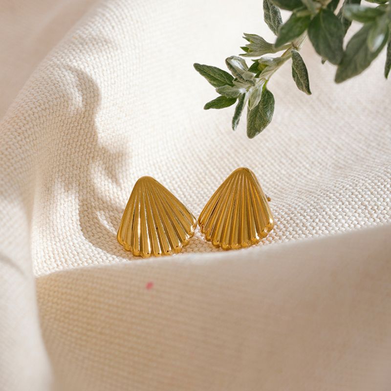 Boucle d Oreille Acier Inoxydable