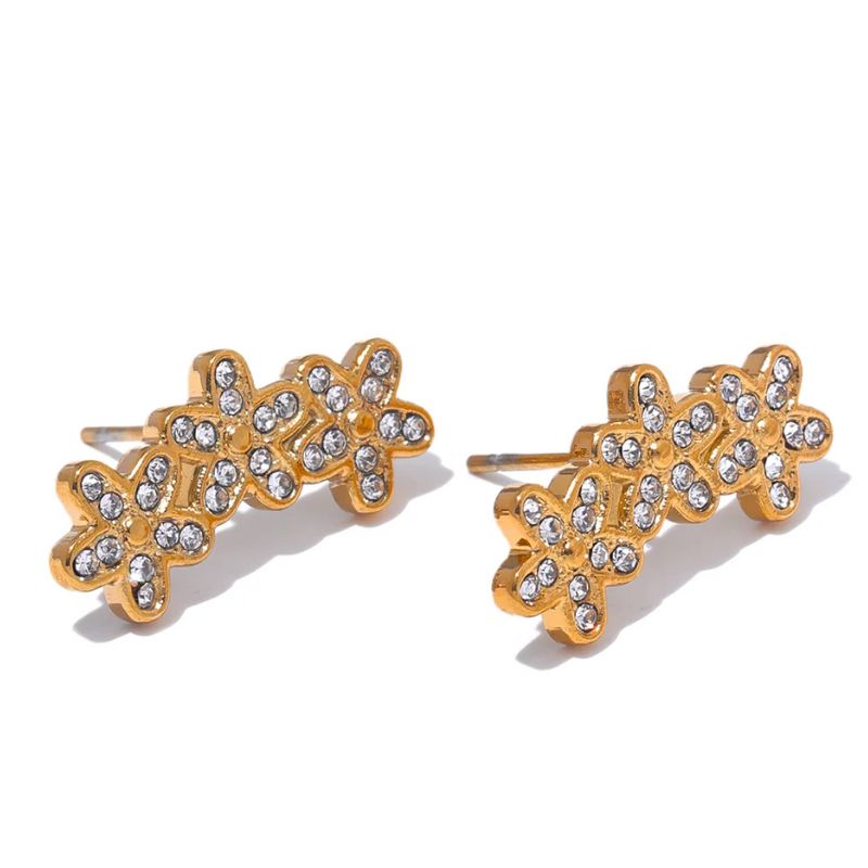 Boucle d Oreille Acier Inoxydable