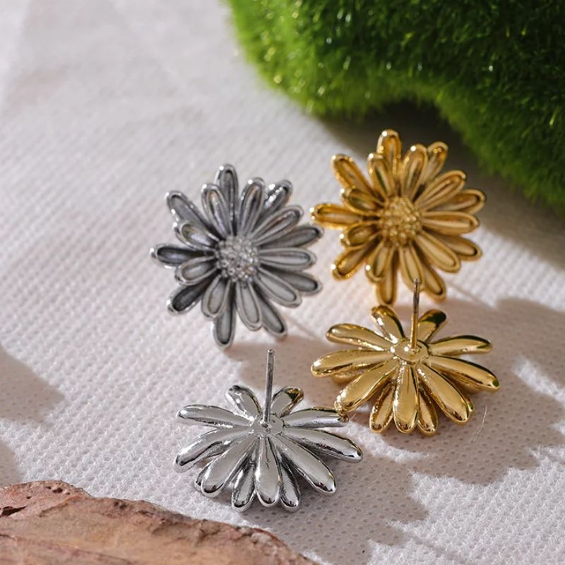 Boucle d'Oreille Acier Inoxydable