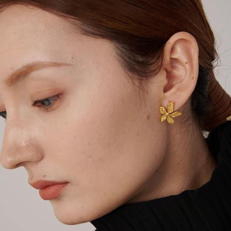 Boucles d Oreille Acier Inoxydable