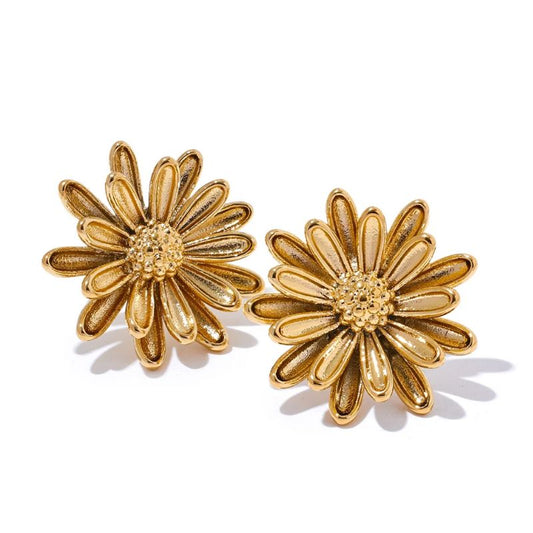 Boucles d Oreilles Acier Inoxydable