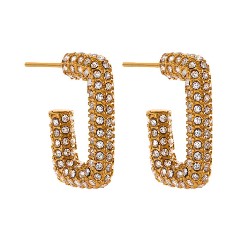 Boucle d Oreille Acier Inoxydable